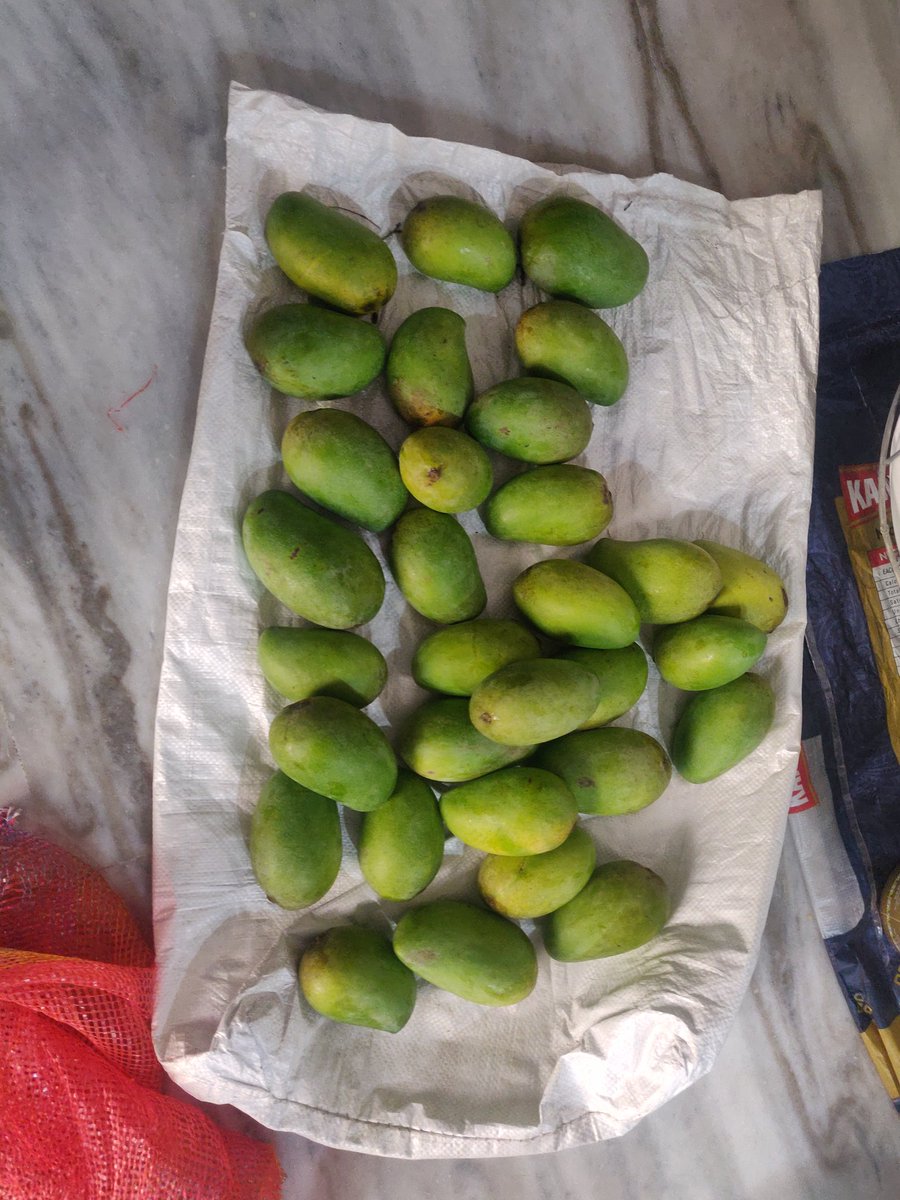 Mangoes 2024 #summer #mangoes #MangoLovers