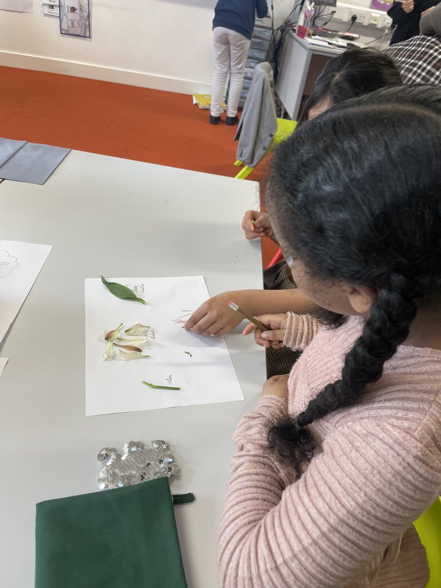 MissMackenzie20's tweet photo. Today in Science we have been learning all about the different parts of a flower! We had a go at dissecting a flower &amp; discussing why each part is important! 🌸🪴 #independence @DixonsMP https://t.co/6czTikcH30