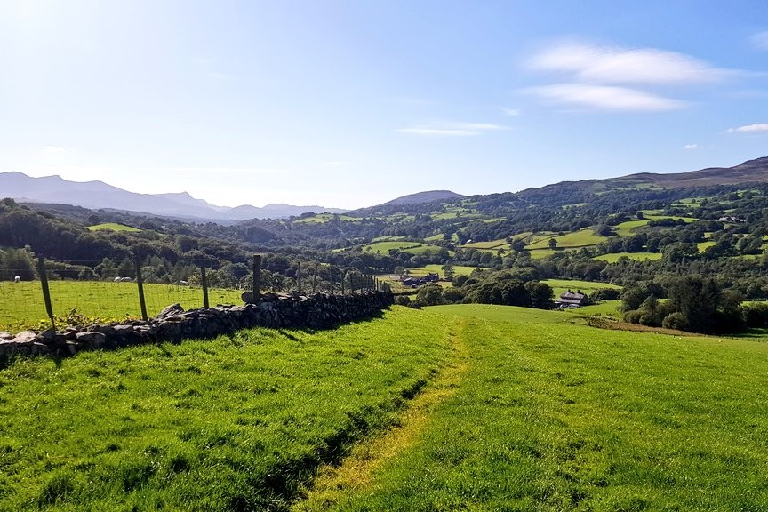 BREAKING | We have welcomed the establishment of a new stakeholder group to assess the development of the Sustainable Farming Scheme. This is one of a number of the union’s requests adopted by Welsh Govt following a meeting with us earlier this year. ➡️ow.ly/se6S50RvEjs