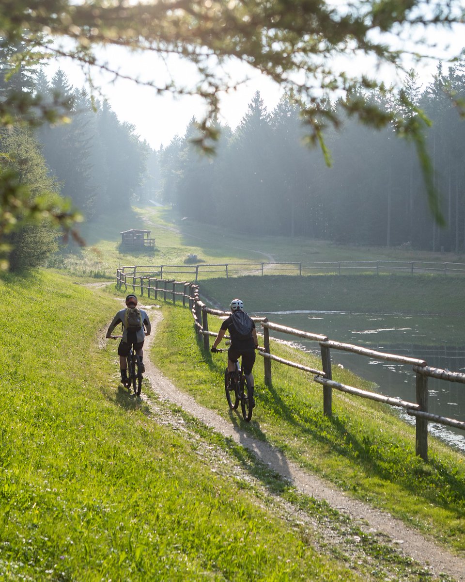 Yay! 💚 Experience Slovenia's finest culinary delights on an 11-day ‘Green Gourmet Route’ cycling journey. 💚 🚲🍽 #ifeelsLOVEnia #sloveniaoutdoor #tasteslovenia More about the route: ter.li/vhitpp Photo by Jošt Gantar