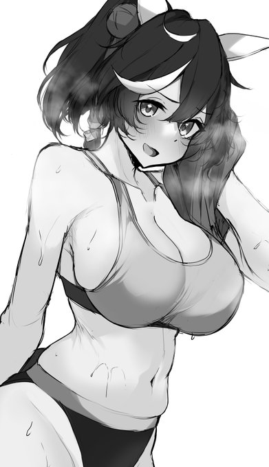 スポブラなカツラギエースのグレーラフです 