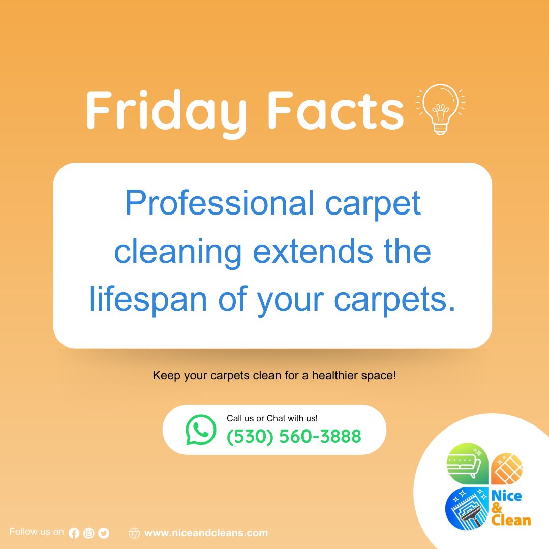 Professional carpet cleaning isn't just about aesthetics—it's about longevity and savings too! 💰 

#niceandclean #CarpetCare #ProfessionalCleaning 
.
Call us or Chat with us on Whatsapp: (530) 560-3888 | (415) 941-8921     
Visit: niceandcleans.com
