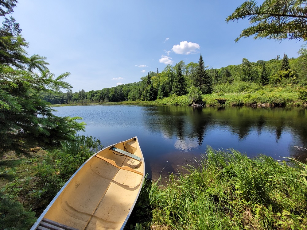 Don’t forget to provide your feedback on the preliminary   management plan and proposed   boundary expansion for Bigwind Lake Provincial Park!

You have until May 4 to review and comment.

1/2