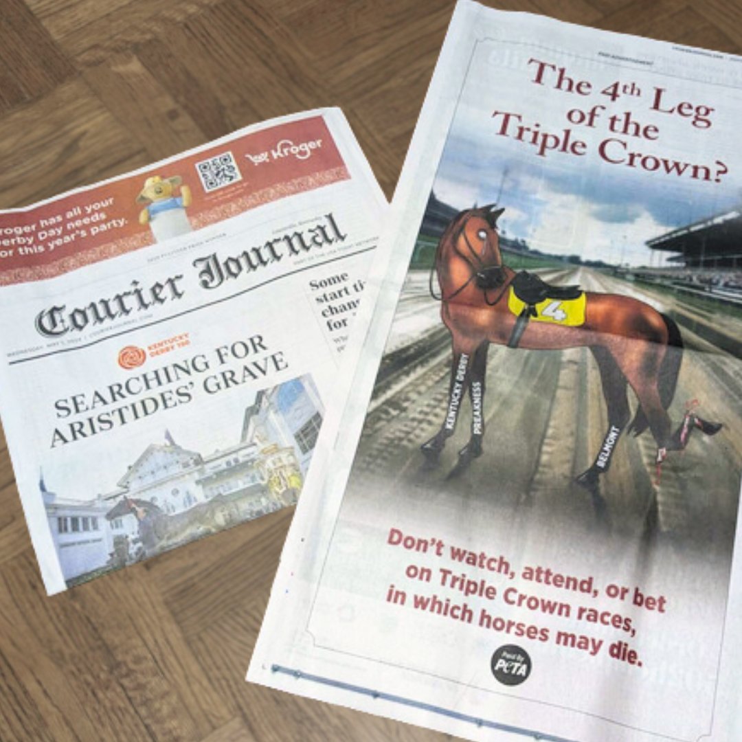 Extra! Extra! Read all about it 🗞️ We’re urging @courierjournal readers to stay away from the Kentucky Derby—where horses’ lives are what’s really at stake!