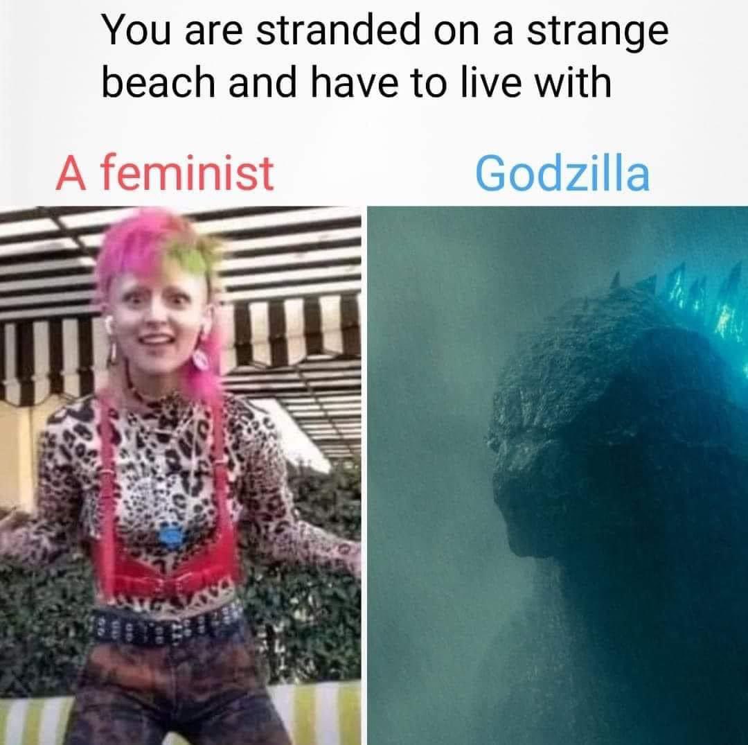 This is way too easy. 

I would rather die than even LOOK at a feminist. 🤣

#women 
#womensupportingwomen 
#womenempowerment 
#womenfashion 
#womeninbusiness 
#womeninpower 
#womenempoweringwomen 
#womeninspiringwomen 
#feminist 
#feministart 
#feminism
#godzilla