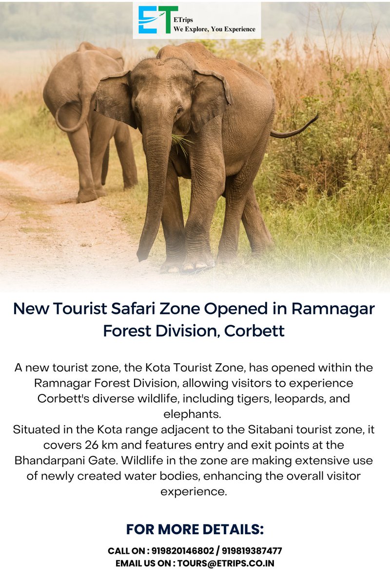 New Tourist Safari Zone Opened in Ramnagar Forest Division, Corbett
#CorbettSafari #RamnagarForest #WildlifeAdventure #SafariZone #NewTouristSpot #Etrips #Flightbooking #Hotelbooking #Tourpackage #Booknow #Travelupdate #Travelnews