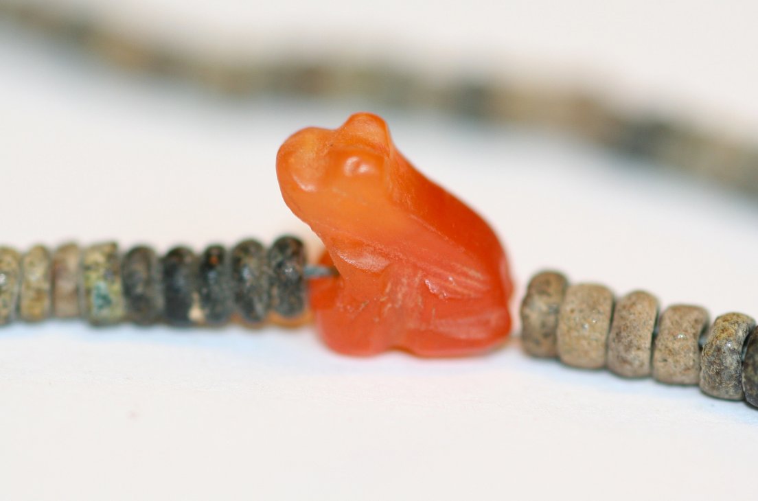 For #FindsFriday, an adorable #Egyptian #frog amulet, made of carnelian. Because of their numerous offspring, #frogs were considered a symbol of fertility. From Qau el-Kabir, Old kingdom (c. 2700 BC – c. 2200 BC), now at the Manchester Museum.  

Photo: egyptmanchester.wordpress.com/tag/frogs/