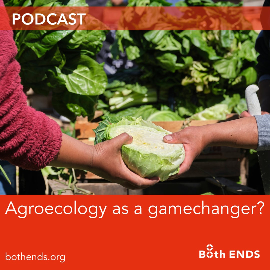 Current agriculture, dependent on pesticides and fertilizers, impoverishes and pollutes the soil. Stefan Schüller argues that agroecology can be part of the solution. Listen to the #podcast: open.spotify.com/episode/3Fgr64…