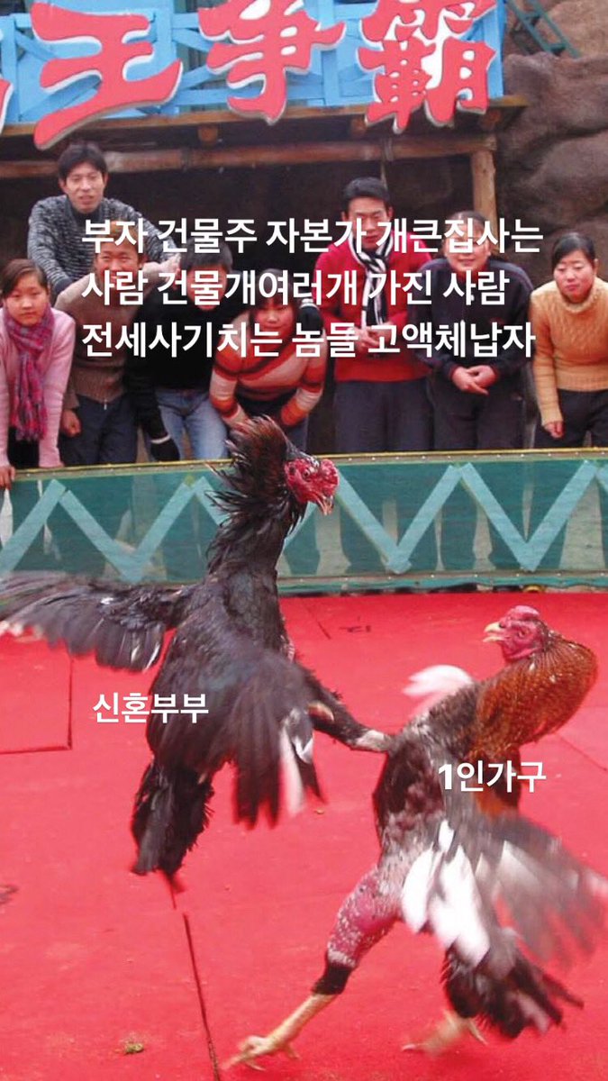 언제까지 더 약자인 사람을 팰 건가요 약자와 약자끼리 싸움을 붙일건가요