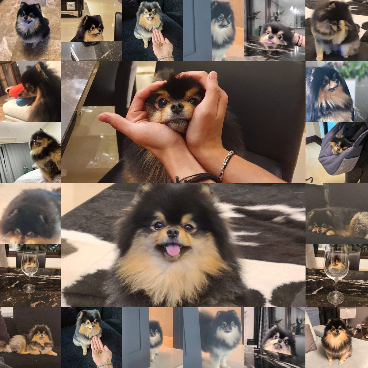 tannie's pictures that tae posted on weverse 🩷