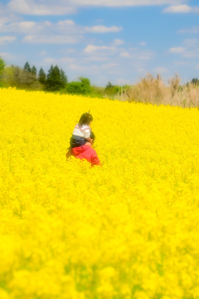 5/2撮影

那須町、那須ハートフルファームの菜の花畑にて

#私とニコンで見た世界 
#ファインダー越しの私の世界 
#写真で伝える私の世界
#D780
＃菜の花