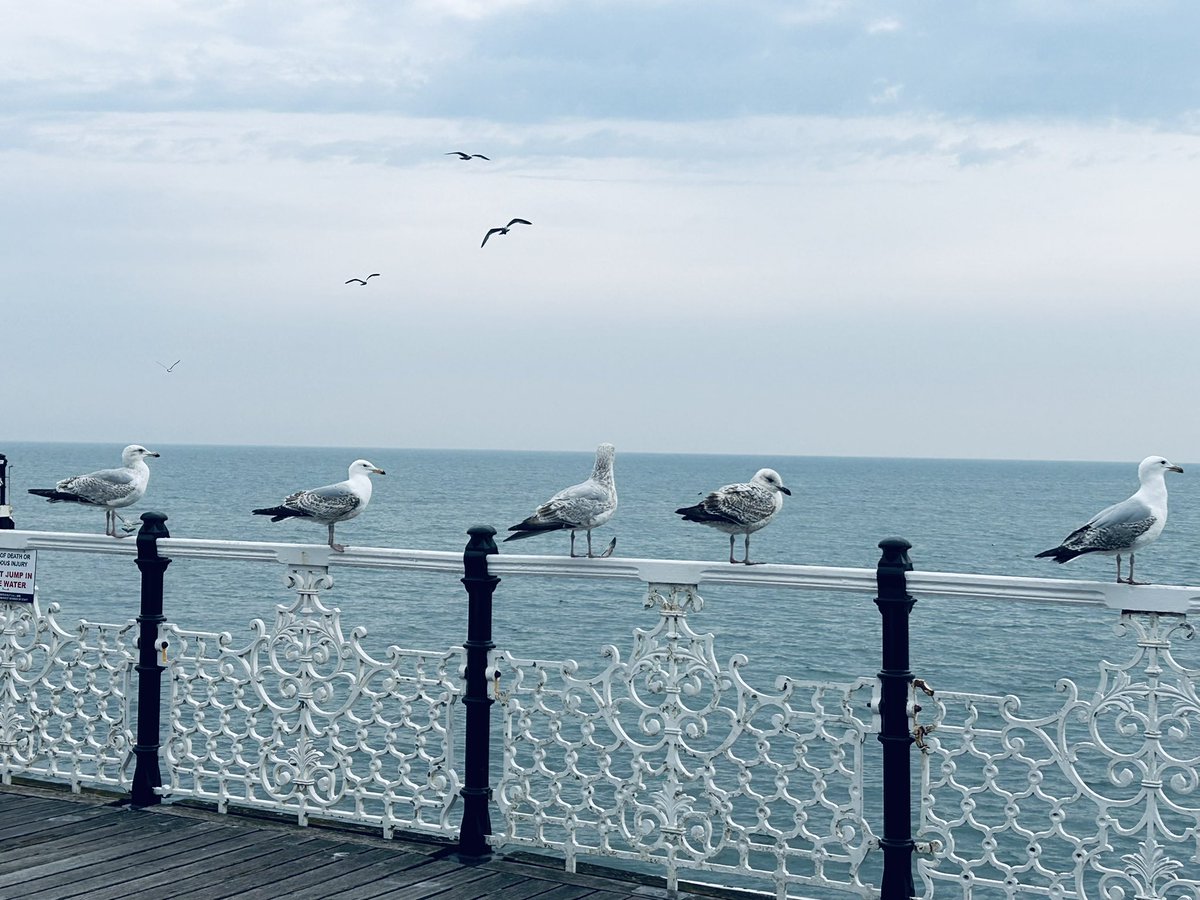 Breakfast meeting @BTNPalacePier