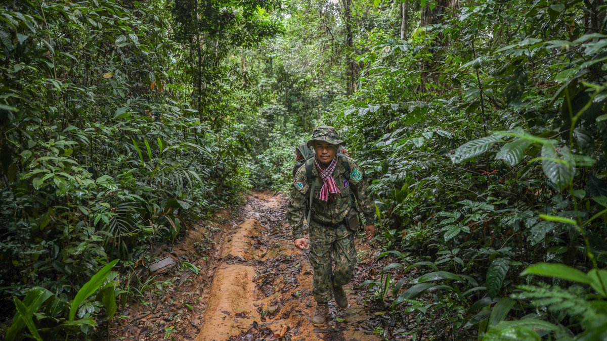 Anton L. Delgado (@antonldelgado) on Twitter photo 2023 was a whirl wind that ended with <a href="/SEA_GLOBE/">Southeast Asia Globe</a>'s closure.
From start to finish, I was backed by the best team of editors a young journalist could ask for: <a href="/ahaffner1/">Andrew Haffner</a>, <a href="/dvmarchette/">Daniel Marchette</a>, <a href="/bpdhannon/">Brian P. D. Hannon</a> and <a href="/amanda_oon/">AmandaOon</a>. This <a href="/sopasia/">The Society of Publishers in Asia</a> honor reflects their steadfast faith in me. 2023 was a whirl wind that ended with <a href="/SEA_GLOBE/">Southeast Asia Globe</a>'s closure.
From start to finish, I was backed by the best team of editors a young journalist could ask for: <a href="/ahaffner1/">Andrew Haffner</a>, <a href="/dvmarchette/">Daniel Marchette</a>, <a href="/bpdhannon/">Brian P. D. Hannon</a> and <a href="/amanda_oon/">AmandaOon</a>. This <a href="/sopasia/">The Society of Publishers in Asia</a> honor reflects their steadfast faith in me.