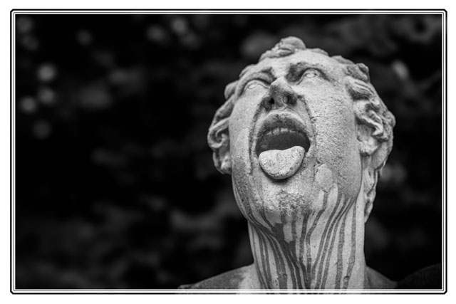 This #statue from the #gardens of #Schloss #Hellbrunn #palace #castle in #Salzburg #Austria. This is depicting a #mad #man. #PhotographyIsArt #sculpture #art #blackandwhitephotography #blackandwhitephoto #blackandwhite. See more #images and #photos at darrensmith.org.uk