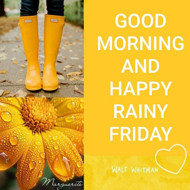 Ooh it’s a horrible #rainy morning but we have made it to #Friday and it’s a long weekend too.x #whatsnottolove #YAY 
#goodmorningfriday 
#bestdayoftheweek 
#collegerun my TJ ✅
#HappyFriday 
#everyoneshappy 
🌧️🌧️☔️☔️💙🏫💙💛💛💛😍😍😍