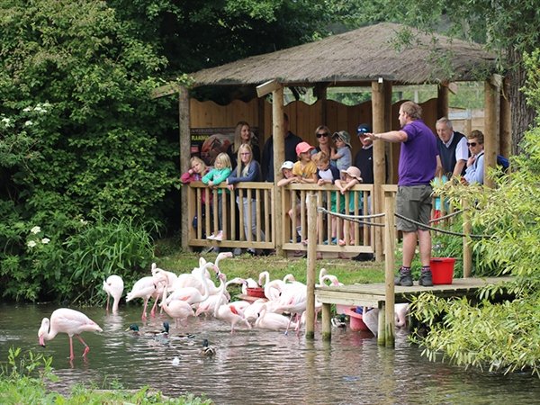 30 Amazing Things to Do in the #Cotswolds this May Day Bank Holiday 2024 tinyurl.com/34zmyffe #Gloucestershire #Cotswolds #whatson #daysout #familyfun #animals #outdoors #nature #educational #heritage #keepitlocal #exploreglos
