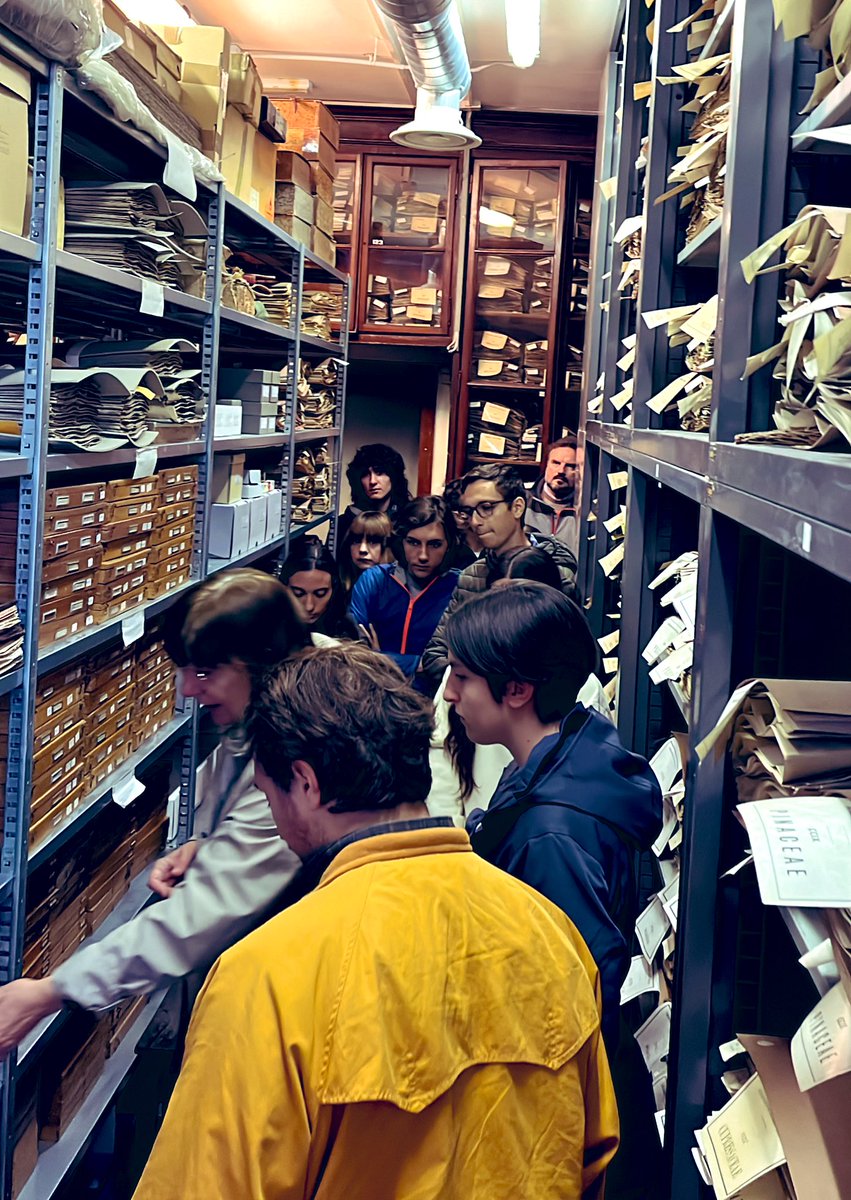 lauparducci's tweet image. A day with students in the #sapienza #Herbarium Museum