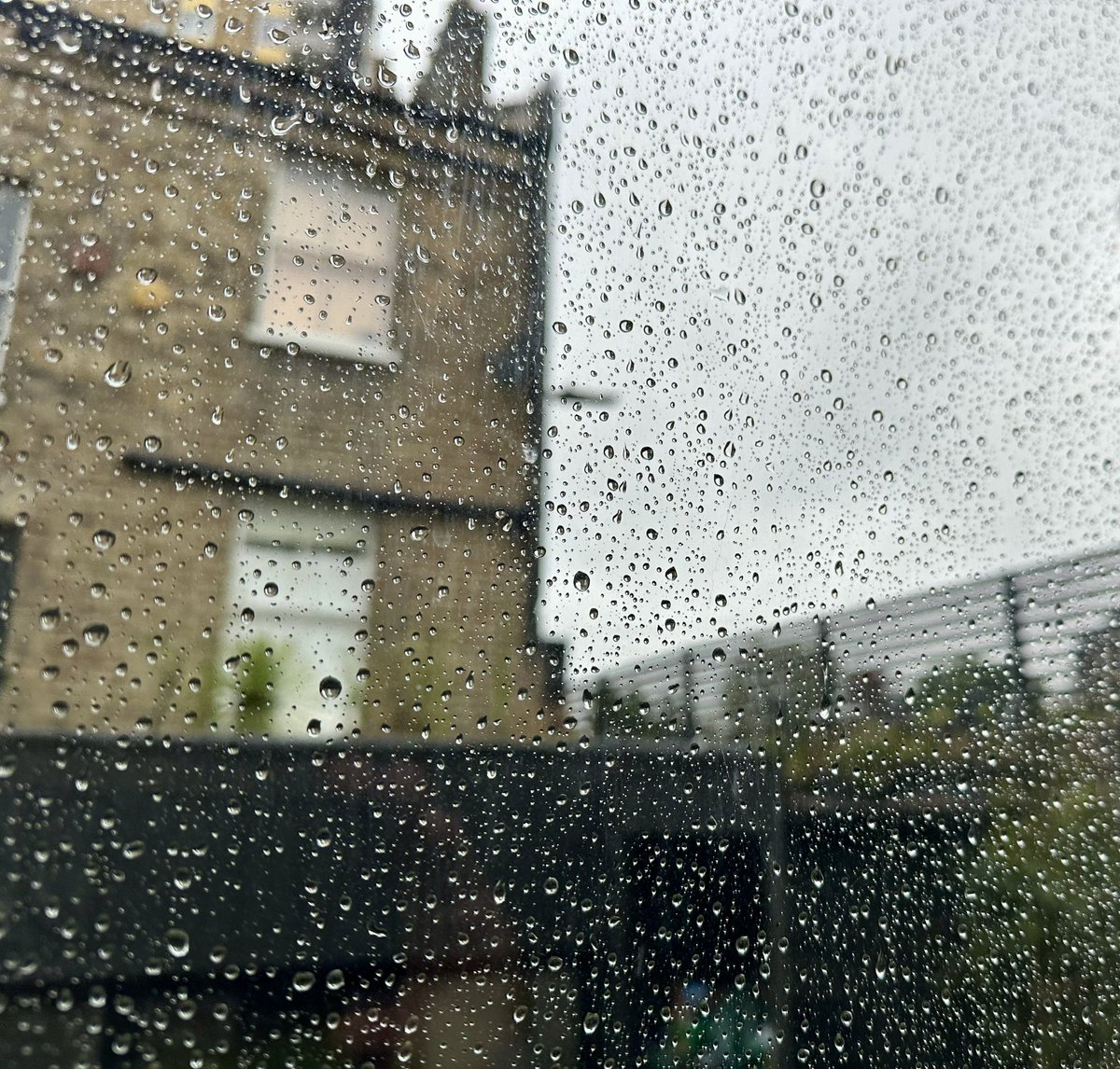 SeanofHackney's tweet photo. Feels like being at sea in the garden office today… https://t.co/lDJ4kSmCC2