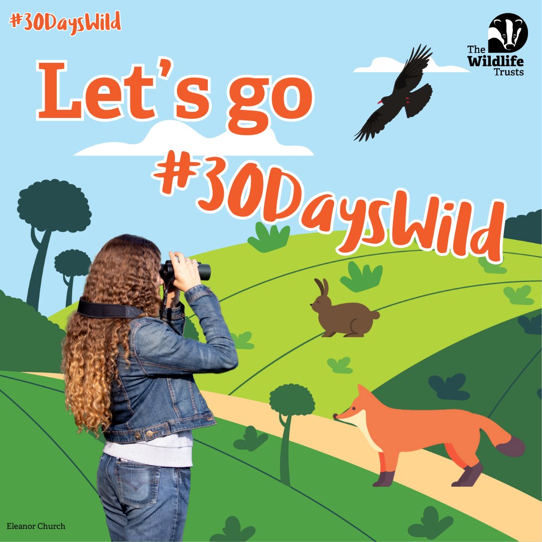Rediscover your wild side with The Wildlife Trusts’ #30DaysWild We'll deliver a daily dose of wildness straight to your inbox throughout June. From activity sheets to wildlife id guides, we’ll help you find your passion for the great outdoors. Sign up NOW wildlifetrusts.org/30dayswild