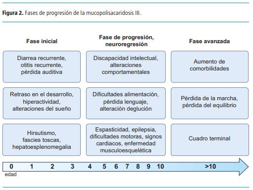 📬¡Nuevo artículo de Revista de Neurología!

📖Historia natural de la mucopolisacaridosis III en una serie de pacientes colombianos

📝 @ioiroosevelt @lamilitar

🔗neurologia.com/articulo/20232…

#LaAmarilla #neurología #RevNeurol