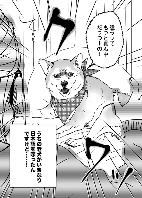 介護中の老犬がいきなり日本語を喋った話【0/2】わたしのお母さん:番外編【第1話】#漫画が読めるハッシュタグ #わたしのお母さん 