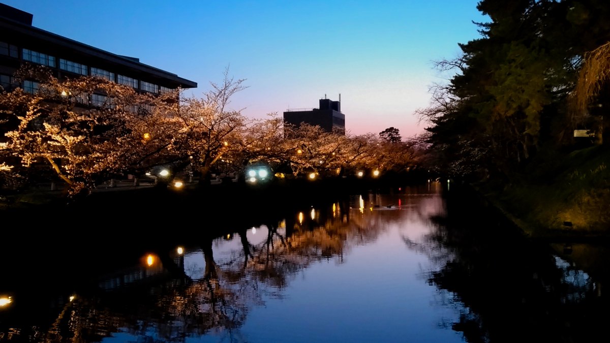 pgts00's tweet photo. 遅ればせながらの弘前公園🌸
(つづきです😇)

いよいよGW後半ですね!!
お仕事のかたはお疲れ様です🙏
お休みのかたはお家時間や
お出かけなど満喫できますように🥰 https://t.co/9qdqXJrmCc