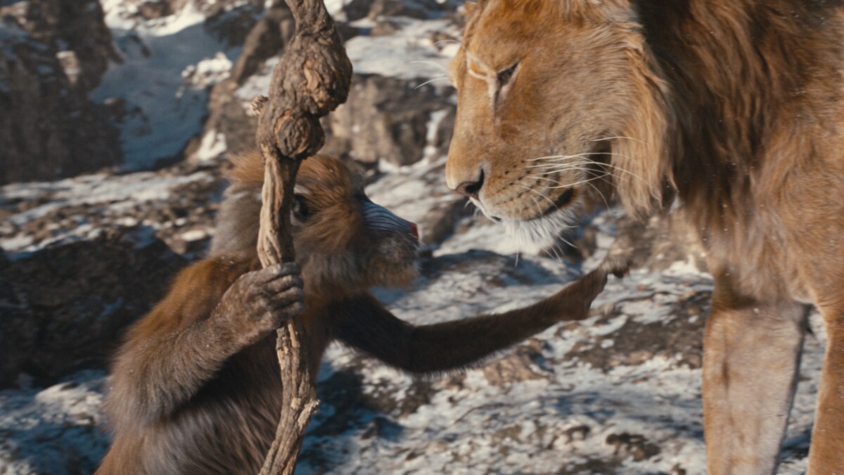 Disney reveals first look of Mufasa The Lion King

bit.ly/4bpQzlL

#Disney #mufasa #production #filming #beyonce #sequel #DisneyPlus