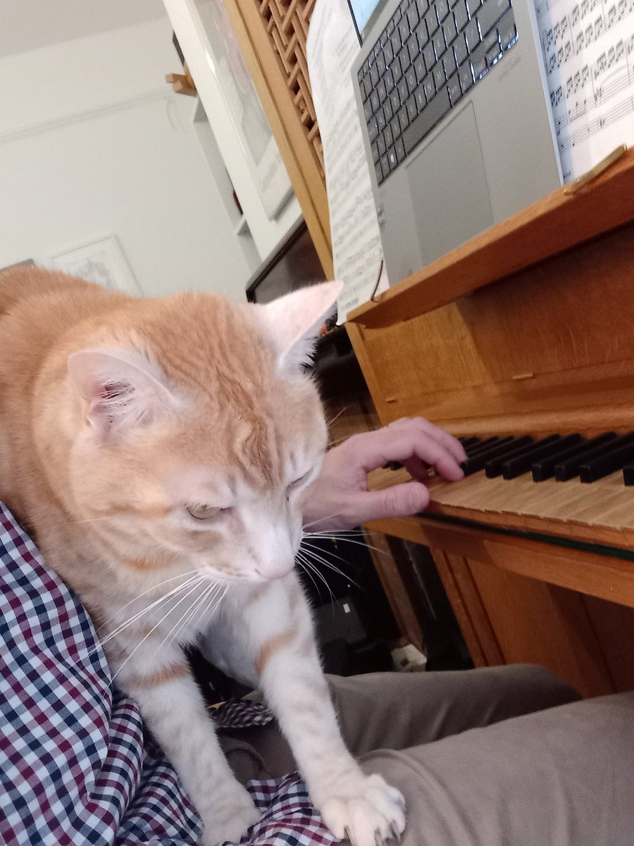 Quick bit of morning composition at the organ ...with Cat...