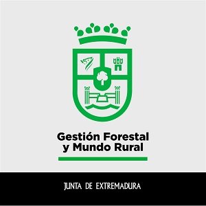 La Consejería de Gestión Forestal y Mundo Rural de la Junta de Extremadura manifiesta su voluntad de asumir la convocatoria y concesión del Premio Nacional de Tauromaquia eliminado por el Gobierno de la Nación.