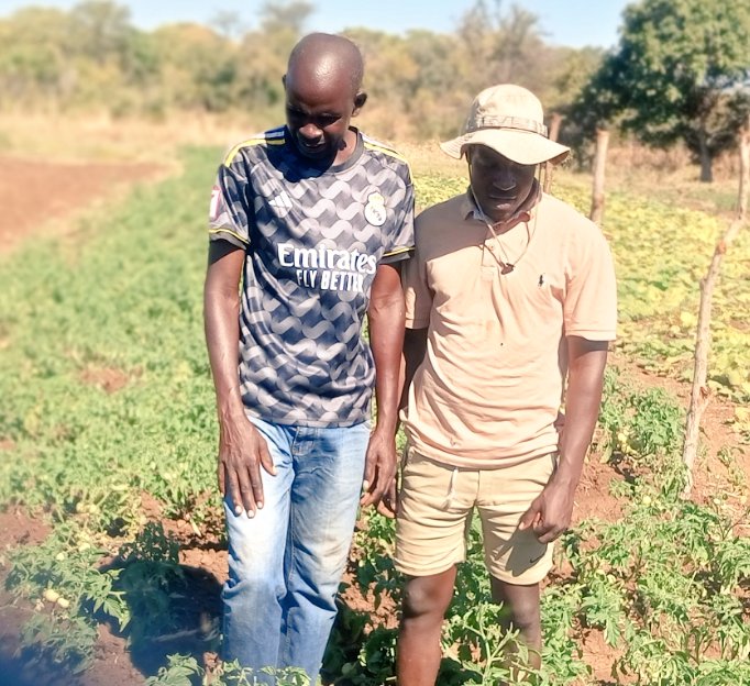 He left his job to do full time farming at his rural plot in Sanyati . He started small doing the right things now he has already drilled a boreholes and install solar pump irrigation using the money from the projects . He is a successful farmer! #rimasomething