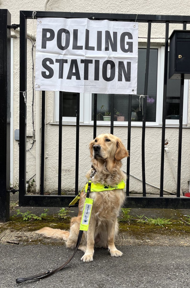 پاکستان میں بھی ایسا ہونا چاہیے ہے کیا خیال ہے ؟
#dogsatpollingstations