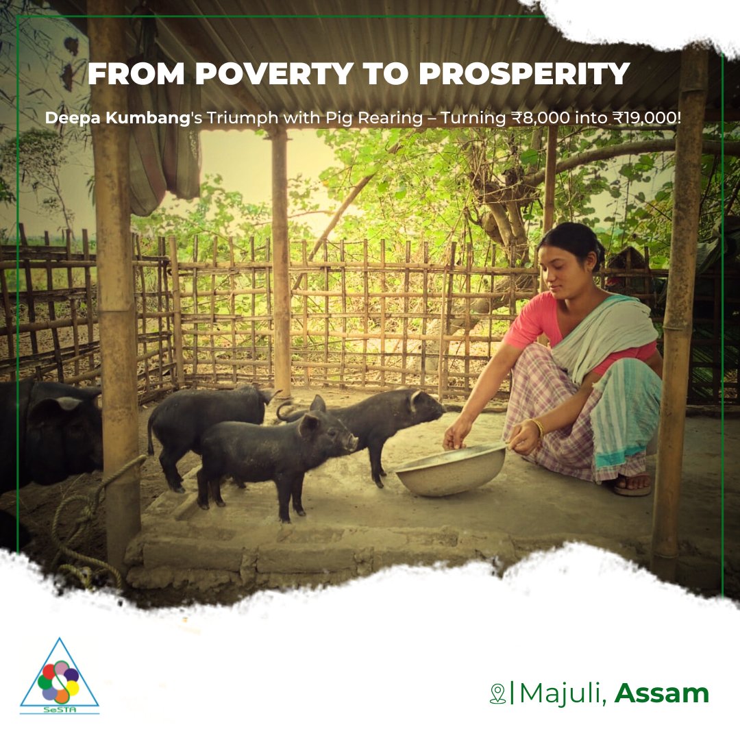 Deepa Kumbang's journey epitomizes #EconomicEmpowerment in Majuli, Assam. With support from SeSTA's #PRIDEProject, she diversified income through pig rearing, sold 5 piglets for ₹19,000, and now plans to expand her piggery unit. #RuralDevelopment #WomenEntrepreneurship