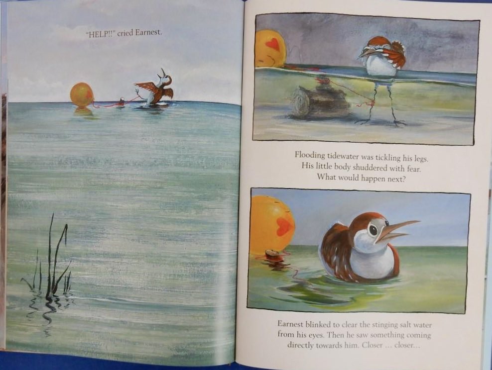 A powerful cautionary tale showing the dangers to wildlife caused by free floating balloons, and of believing in yourself #EarnestSandpipersGreatAscent #TimothyBasilEring @BIGPictureBooks is #RedReadingHub’s #picturebook of the day reviewed on the blog wp.me/p11DI5-ccC