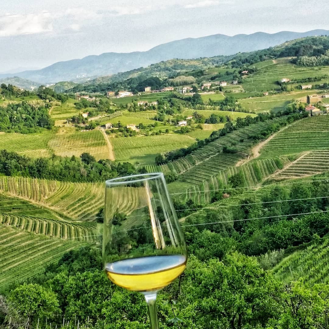 Indulge in this Friuli-Venezia Giulia's wine journey: sip through wineries, explore lively cities, and revel in rolling hills and seaside views. 🍷 Uncover history and taste the region's essence ▶️ bit.ly/3W3uAwm

📍 @FVGlive

📷 IG lovingmyhills

#italiait #ilikeitaly