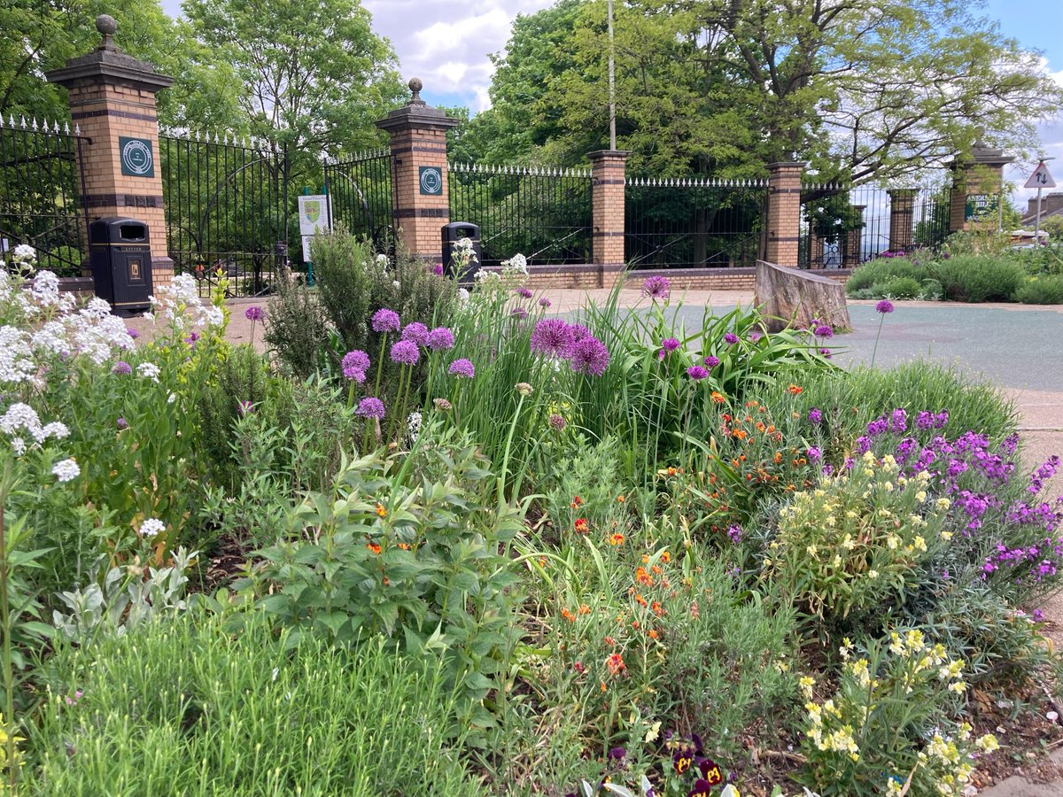 We take care of the flowerbeds at the Vicar’s Oak - why not consider getting involved with our friendly group of volunteers this #NationalGardeningWeek? We will meet every Friday in May & throughout the summer 10am-noon. All welcome! Email gardening@invisiblepalace.org.uk 📧