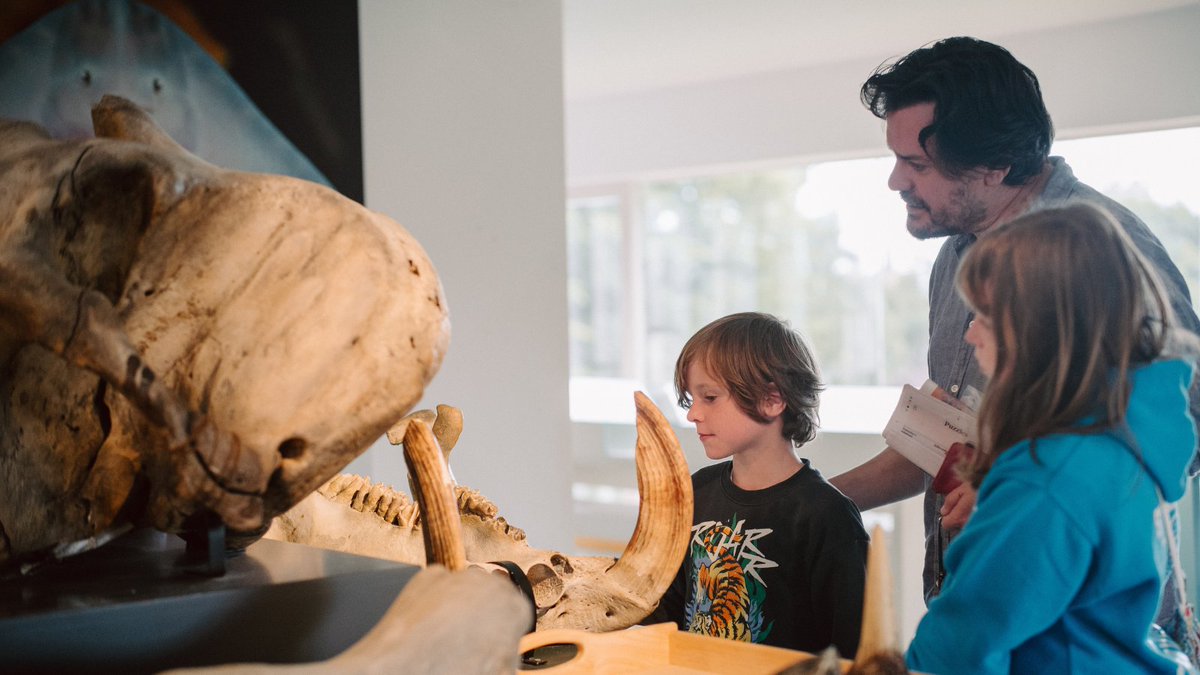 Discover something new (or something very old) this Bank Holiday at the Ulster Museum! We're open this weekend and Monday 6th May for the Bank Holiday from 10:00 to 17:00. Plan your visit here → ulstermuseum.org/visit