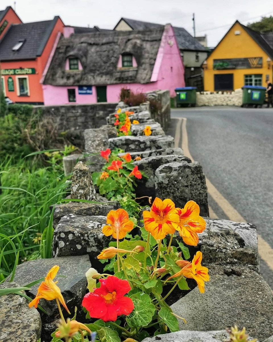 We ain't foolin', Doolin really is THIS blissful 🌼🌹

📍 Doolin, County Clare
📷 instagram.com/sharonlongphot…

Why is Doolin famous? lovetovisitireland.com/why-is-doolin-…

#loveireland #visitireland #ireland