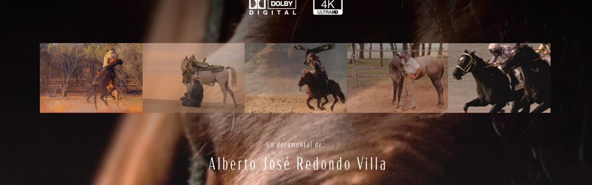 MAKING OFF | La Facultad de Veterinaria @fac_mur proyecta el 'making of' del documental 'Caballos'. 📽️🐎 ➕ t.um.es/caballos