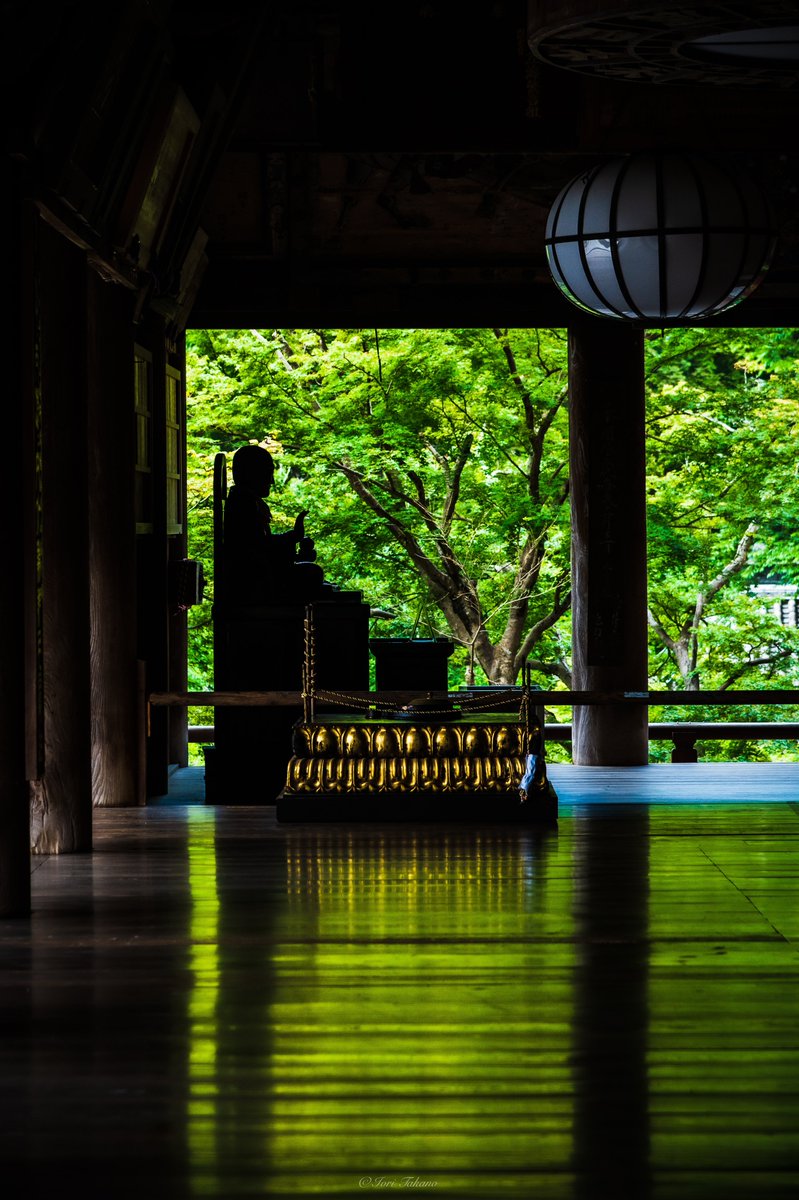 緑が美しい長谷寺の初夏。