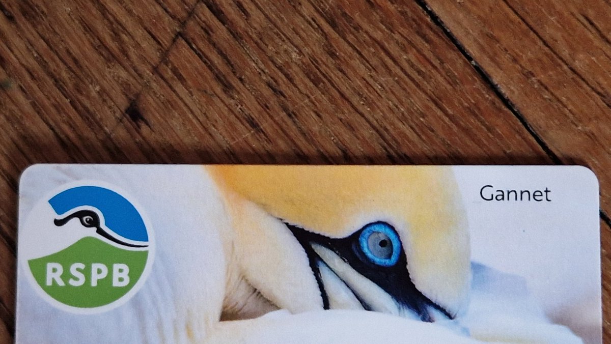 Just got back from hols and opened my new membership card letter. Thank you @Natures_Voice my favourite seabird ever!! Love this and shall enjoy looking at it and using my card a lot. 🙏🙏❤️❤️👏👏🌏🐦🐦 #rspb #gannet #mybirdinglife #birdsuniteourworld