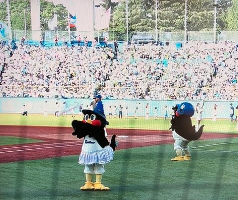 ⚾️☂️🐧サヨナラすわほー🎀🥰　村上くん神宮🏟️100 HRおめでとう㊗️ #塩見泰隆 #村上宗隆 #つば九郎 #つばみ