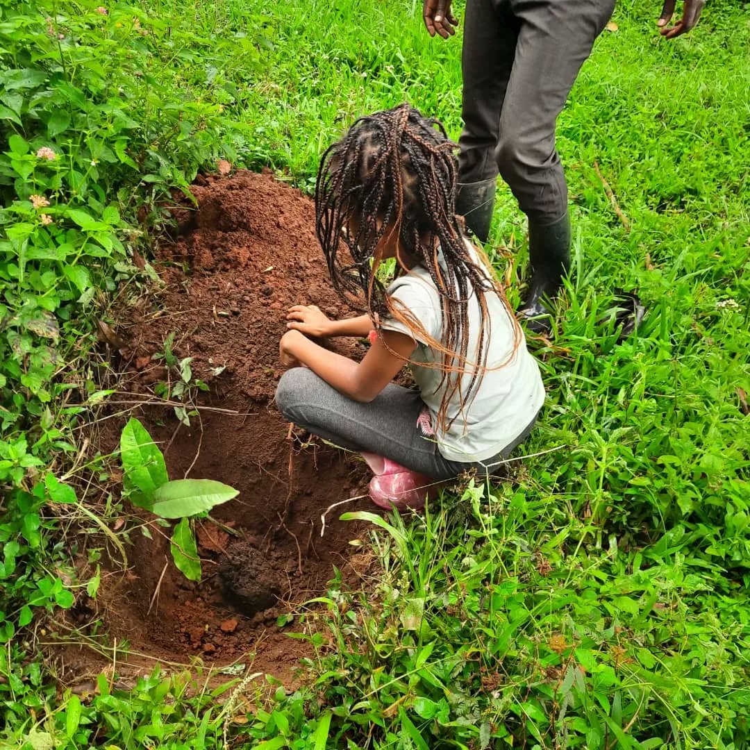 There is something about the generous and loving #outdoors that loves and nurtures our little #exlorers.
Join us as we go through this thrilling #experience over and over again💚

#bushbabylodge #kidsinnature #nature #sustainability #ecofriendly #foryou