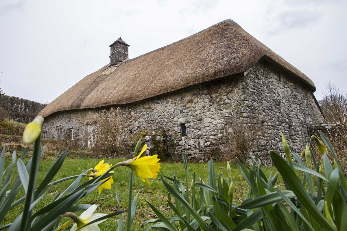 Visit a Dartmoor Longhouse a place of rare and fascinating history 🛖 As you enjoy your guided tour you'll walk through the rooms where humans and cattle lived side by side long ago 🐮 Book your ticket: Sunday 4 May: bit.ly/4b7dFOk