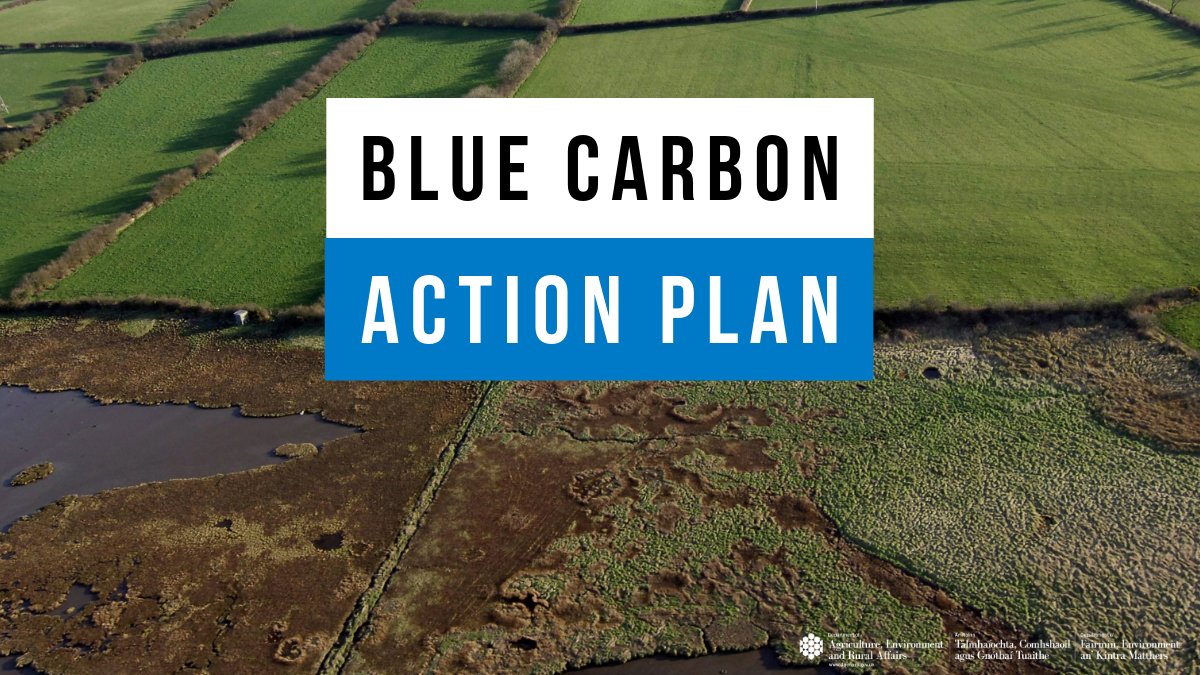 We are consulting on NI's first ever Blue Carbon Action Plan aimed at marine environment improving protection 🔗More info: daera-ni.gov.uk/news/muir-seek… @loughsagency @AFBI_NI @nidirect @niwnews @NIMTF @deptinfra @nifishery @NWSharingZone @NI_LGA @EnvironmentNI @BelfastHourNI