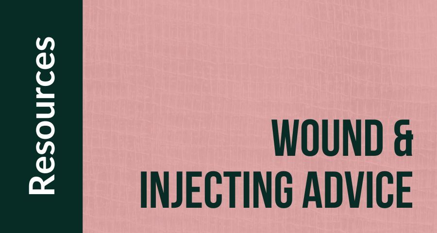 Services are reporting an increase of injecting drug use-related wounds & infection. SDF have created resources to give people working in services confidence to discuss wounds, infections and injecting technique & offer harm reduction advice. buff.ly/4a2vGvJ