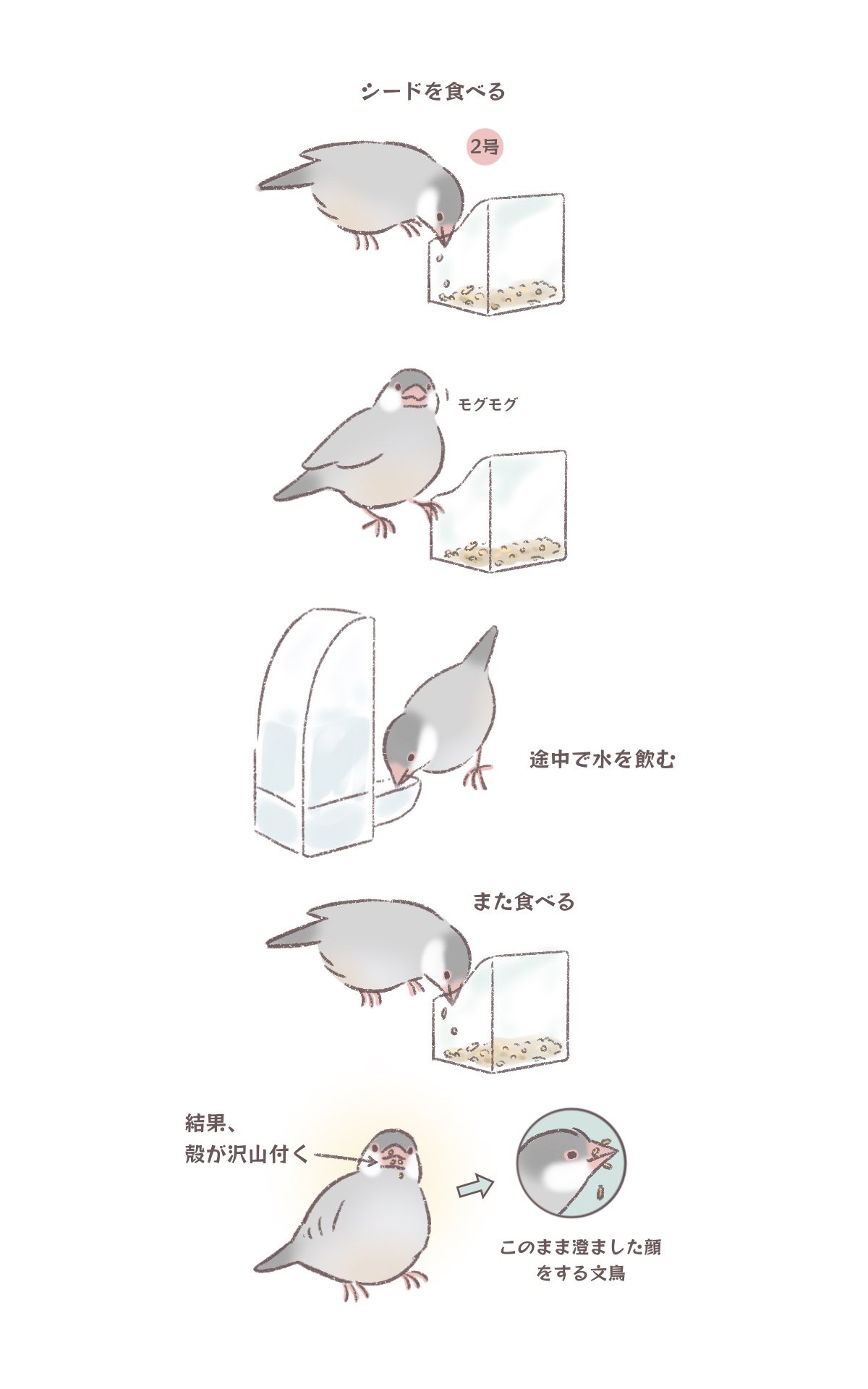 Highlights by こむぎ🕊️ (@komugi_chan55) / X