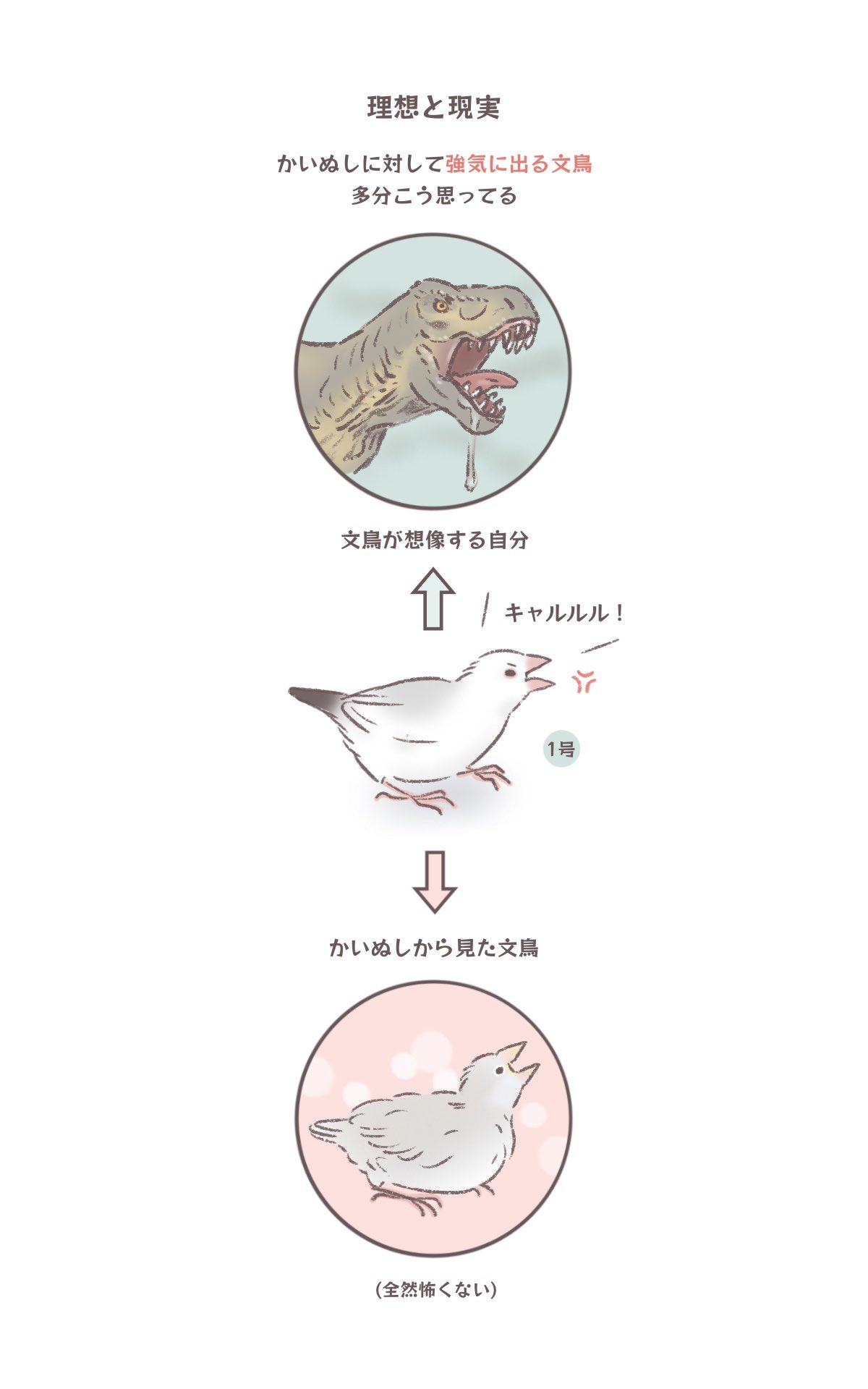 こむぎページ こしむぎ🏍 (@koshimugi) / X