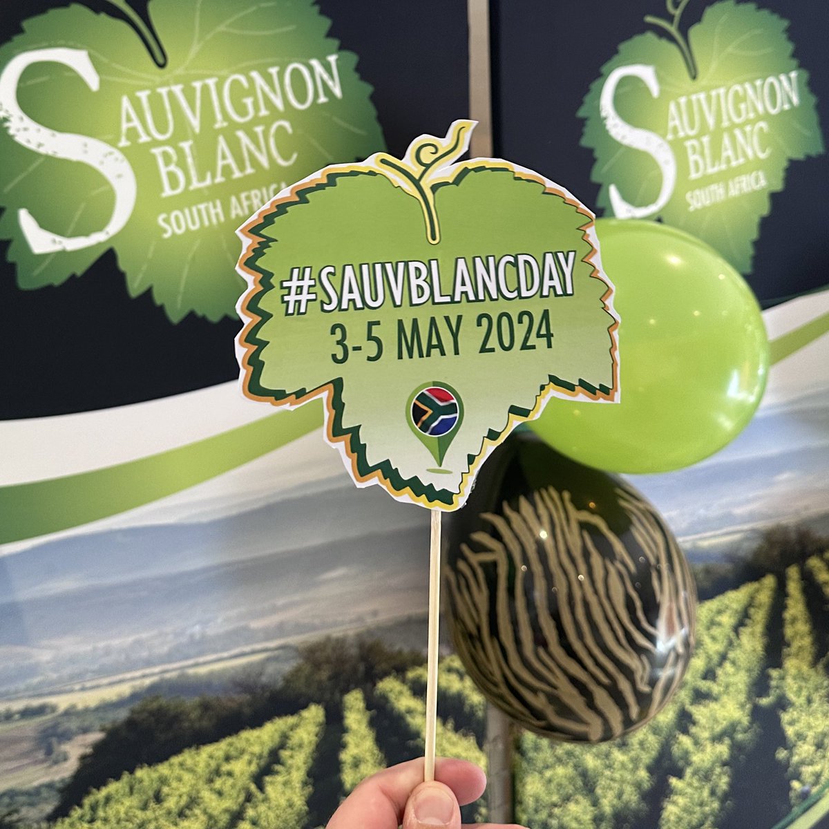Today, the Stellenbosch Bowls Club forms the backdrop for the start of the #SauvBlancDay celebrations 🎉 Ready, steady, bowl! @SauvignonSA
