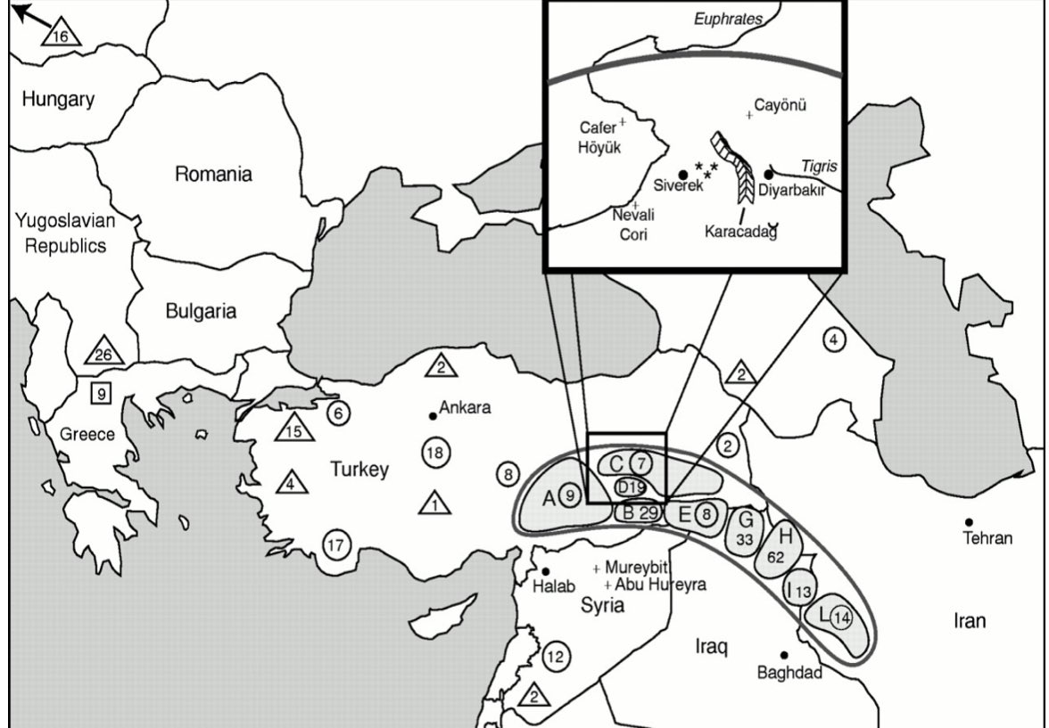 “The earliest appearance of six-line barley flowers coincident with the settlement of people in the Fertile Crescent of Mesopotamia, which appears to have been carried out by the Kurdish people, who planted only two rows of flower barley.” 

Braidwood, R.J and Howe, (1960) P.117.