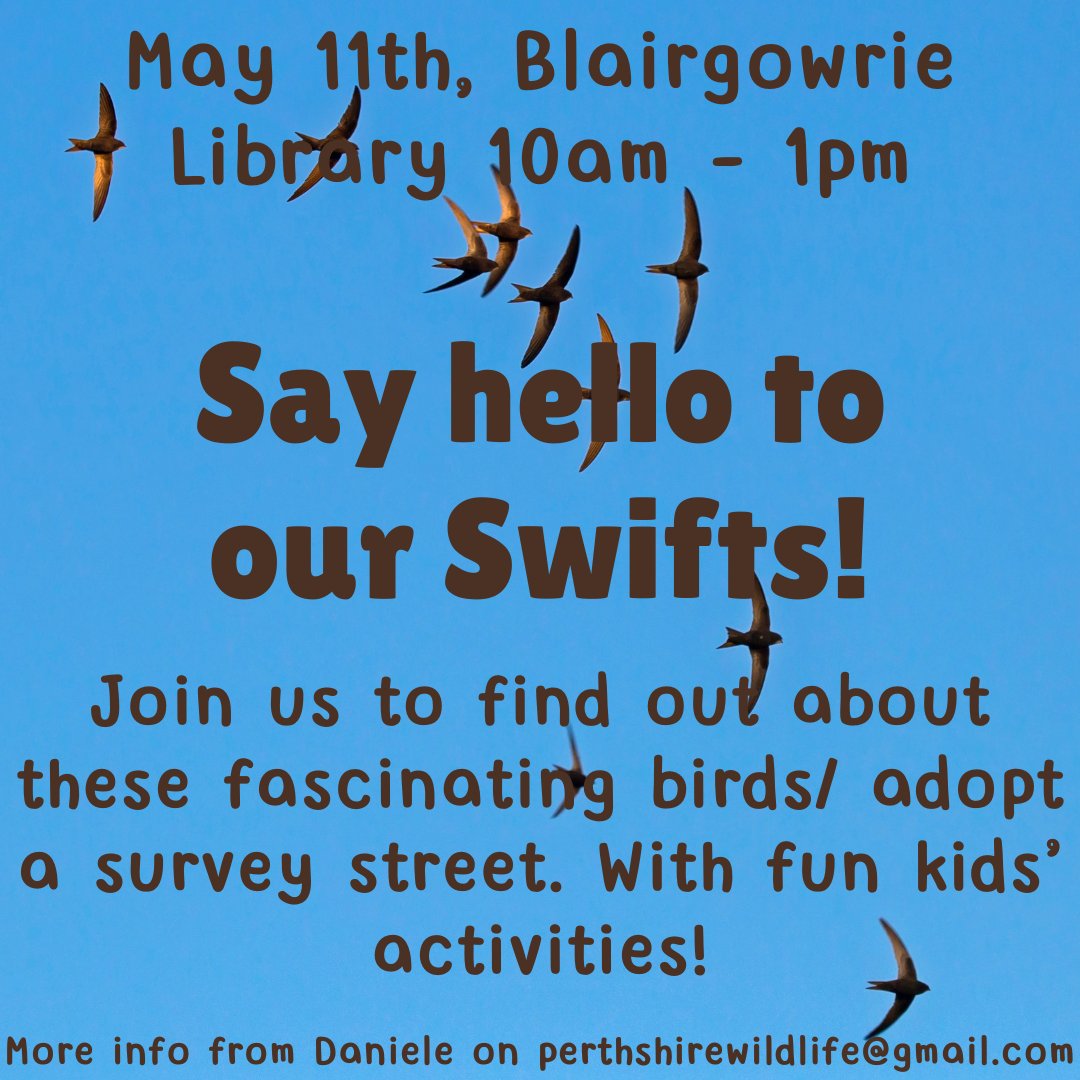 Join us in #Blairgowrie on the 11th to find out how we can all help these wonderful birds! Their numbers have dropped by over 60% in recent yrs so we need urgent action including surveying, conserving nest sites & putting up nest boxes. Pls RT #SaveourSwifts